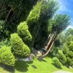 Gartenanlage