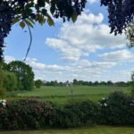 Blick von der Terrasse