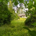 Blick von der Grundstückgrenze