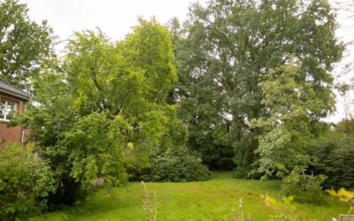 BAUGRUNDSTÜCK IN RÜCKWÄRTIGER LAGE GRUNDSTÜCK 2